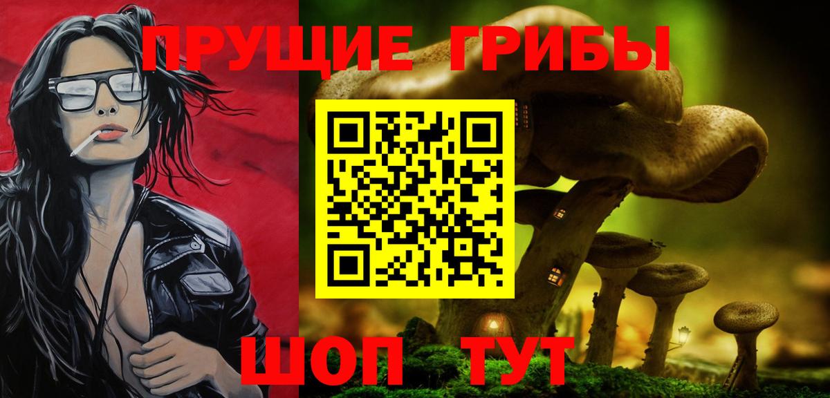 Галлюциногенные грибы Psilocybe Сафоново